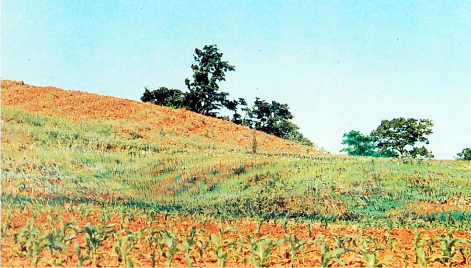 ike220309001_001.jpg