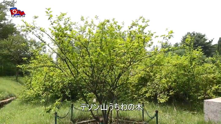 img_vok250503_07.jpg