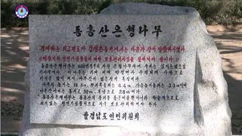 img_nk180815_02.jpg