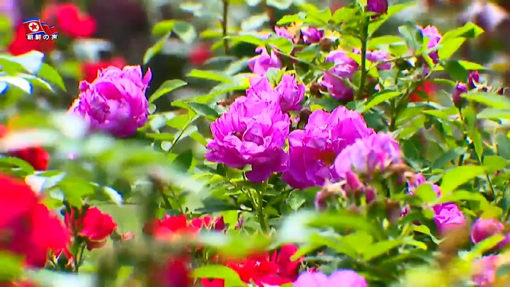 img_vok240620_04.jpg