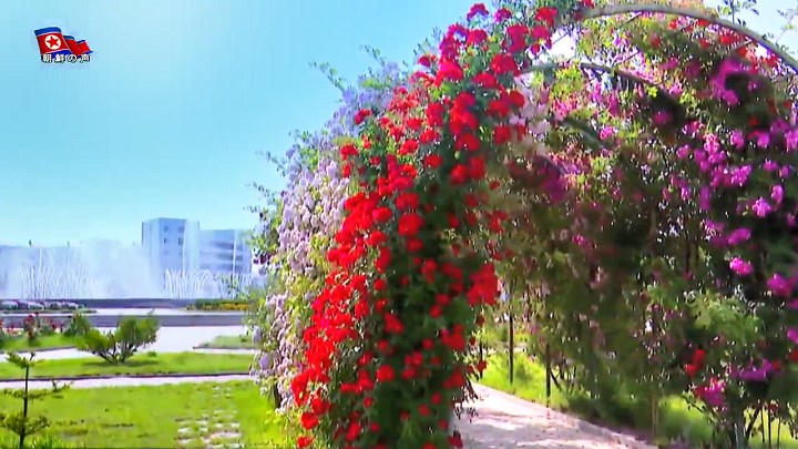 img_vok240620_06.jpg
