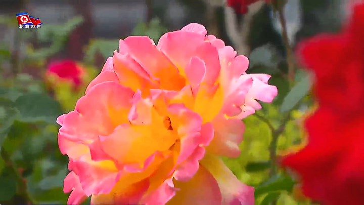 img_vok240620_09.jpg