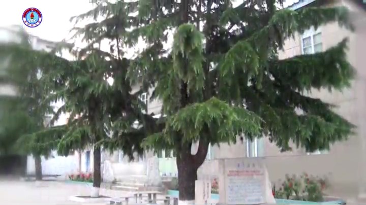 img_vok190907_08.jpg
