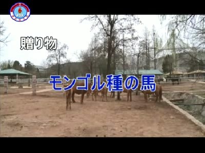 img_nk180419_01.jpg