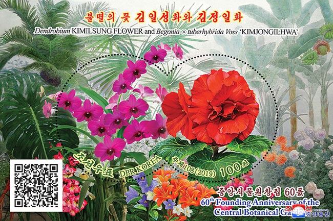 IKN190501002_001.jpg