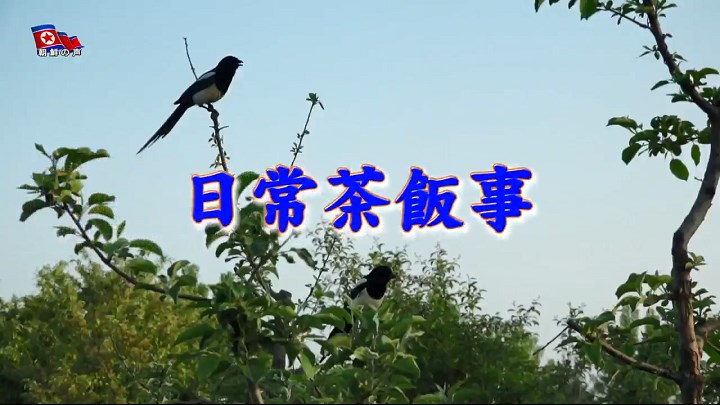 img_vok240704_11.jpg