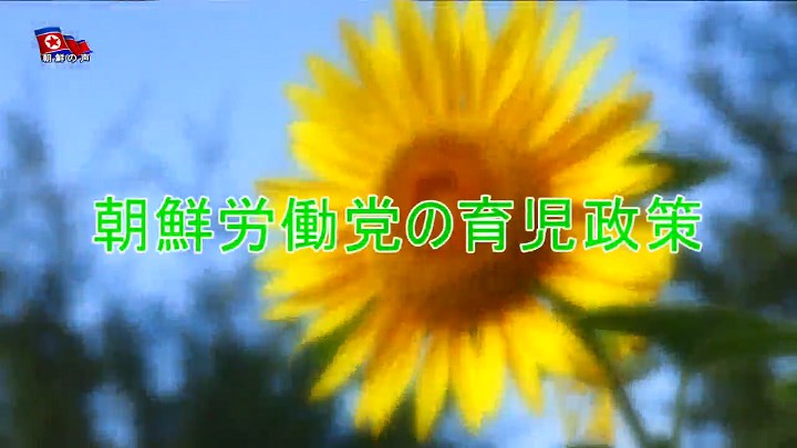 img_vok250203b_02.jpg