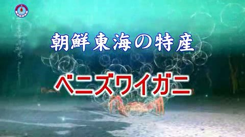 img_nk180811_01.jpg