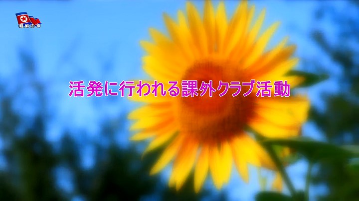 img_vok250313b_04.jpg