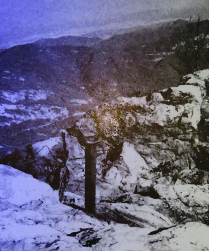 ike220714023_003.jpg