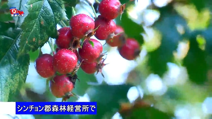 img_vok240924_03.jpg