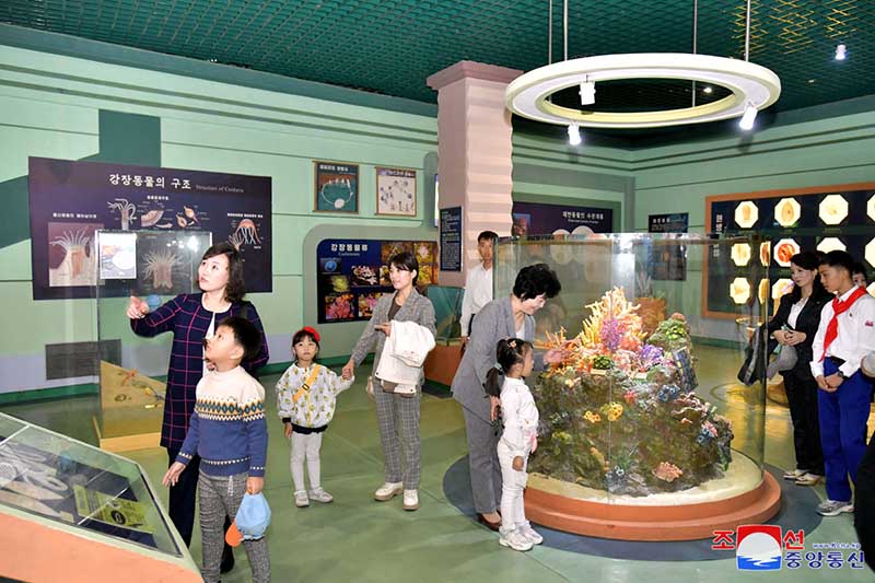 ikn241010006_007.jpg