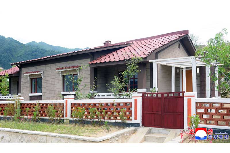 ikn250913003_003.jpg